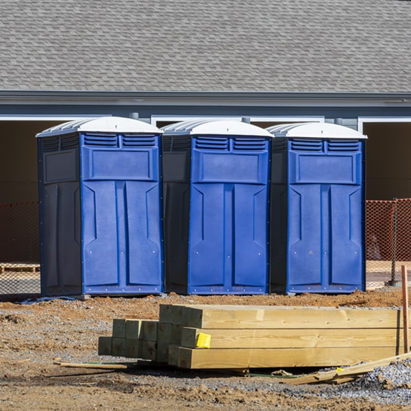 are there different sizes of porta potties available for rent in Wyoming DE